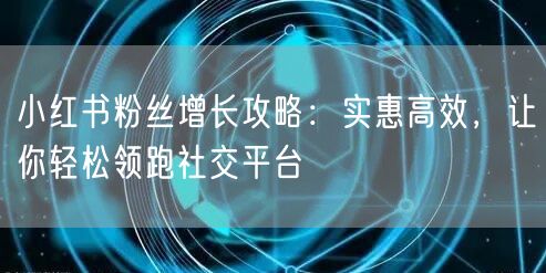小红书粉丝增长攻略：实惠高效，让你轻松领跑社交平台