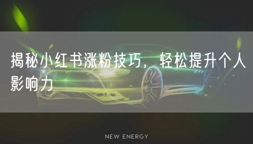 揭秘小红书涨粉技巧，轻松提升个人影响力