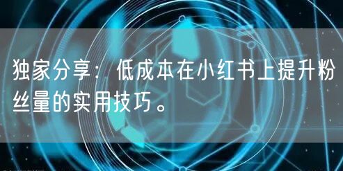 独家分享：低成本在小红书上提升粉丝量的实用技巧。