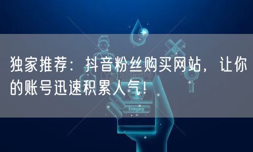 独家推荐：抖音粉丝购买网站，让你的账号迅速积累人气！