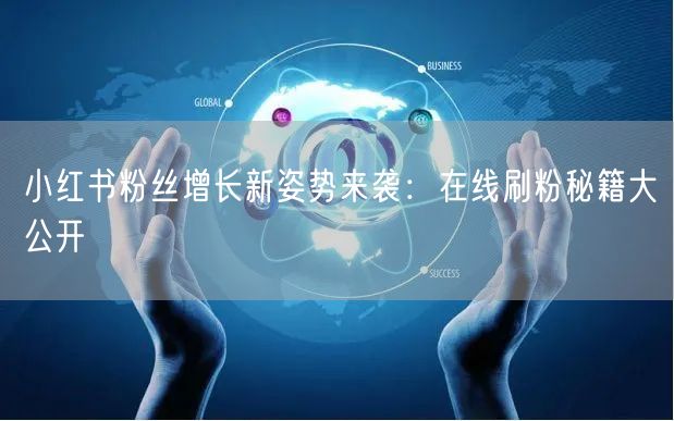 小红书粉丝增长新姿势来袭：在线刷粉秘籍大公开