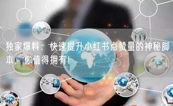 独家爆料：快速提升小红书点赞量的神秘脚本，你值得拥有！