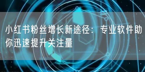 小红书粉丝增长新途径：专业软件助你迅速提升关注量