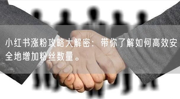 小红书涨粉攻略大解密：带你了解如何高效安全地增加粉丝数量。