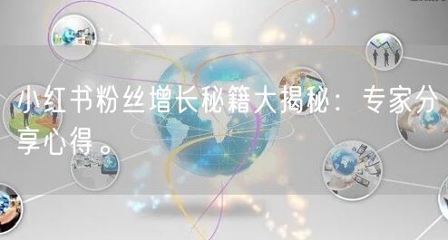 小红书粉丝增长秘籍大揭秘：专家分享心得。