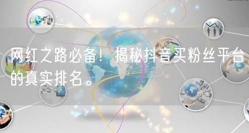 网红之路必备！揭秘抖音买粉丝平台的真实排名。