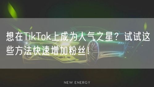 想在TikTok上成为人气之星？试试这些方法快速增加粉丝！