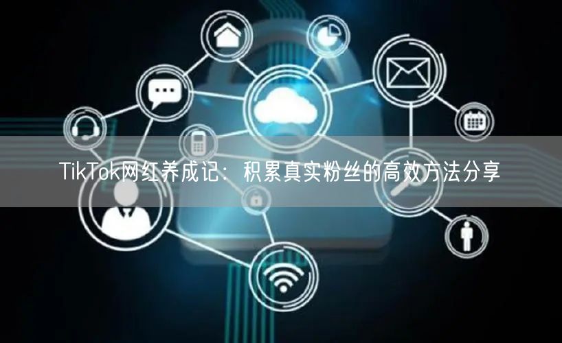 TikTok网红养成记：积累真实粉丝的高效方法分享